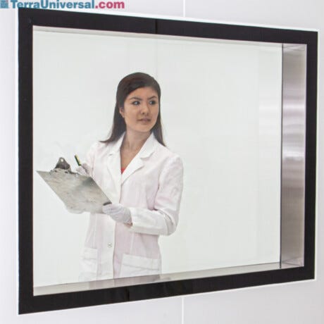 Cleanroom Windows