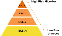 bsl